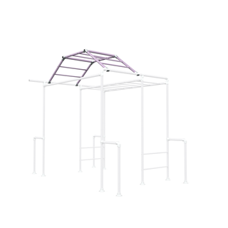 Cheeky Combat Ladder monkey bar frame render with ladder and side bars